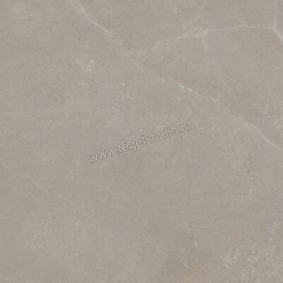  La Fabbrica Ava Noble Stone Taupe 100x100 cm Vloertegel / Wandtegel Mat Vlak Naturale 199075 | 444980