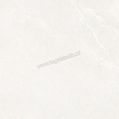  La Fabbrica Ava Noble Stone White 120x120 cm Vloertegel / Wandtegel Mat Vlak Naturale 199091 | 444995