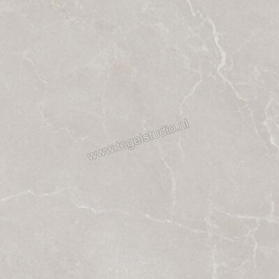  La Fabbrica Ava Noble Stone Grey 120x120 cm Vloertegel / Wandtegel Mat Vlak Naturale 199092 | 445004
