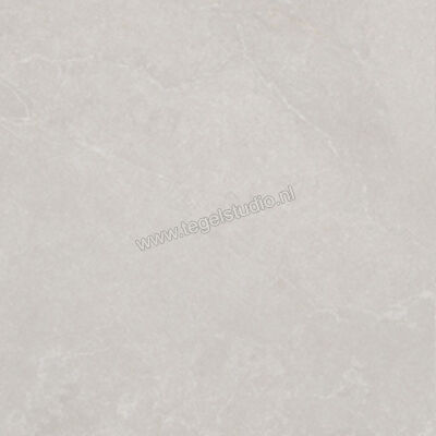  La Fabbrica Ava Noble Stone Grey 120x120 cm Vloertegel / Wandtegel Mat Vlak Naturale 199092 | 445007