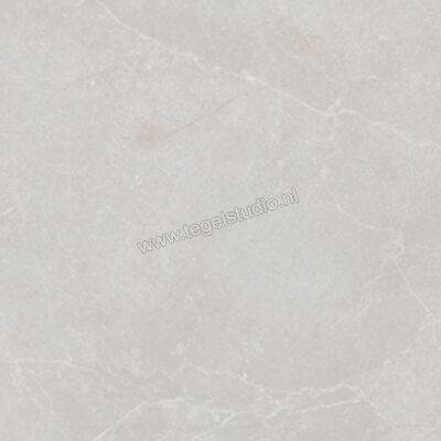  La Fabbrica Ava Noble Stone Grey 120x120 cm Vloertegel / Wandtegel Mat Vlak Naturale 199092 | 445010