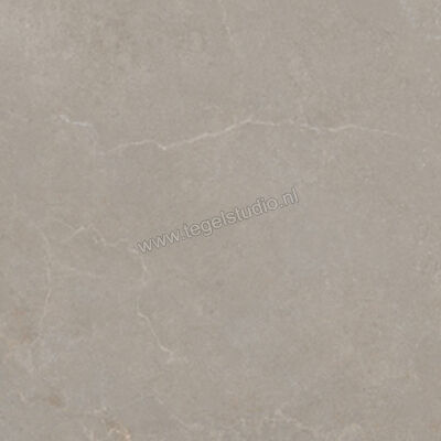  La Fabbrica Ava Noble Stone Taupe 120x120 cm Vloertegel / Wandtegel Mat Vlak Naturale 199095 | 445043