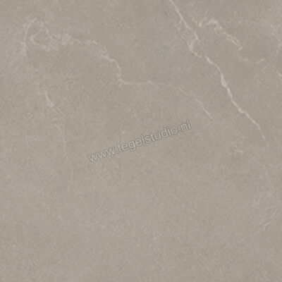  La Fabbrica Ava Noble Stone Taupe 120x120 cm Vloertegel / Wandtegel Mat Vlak Naturale 199095 | 445046