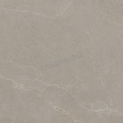  La Fabbrica Ava Noble Stone Taupe 120x120 cm Vloertegel / Wandtegel Mat Vlak Naturale 199095 | 445049