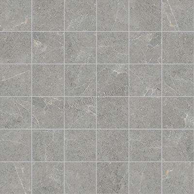  La Fabbrica Ava Noble Stone Grey 30x30 cm Mozaiek 5x5 Mat Vlak Naturale 199102 | 445052