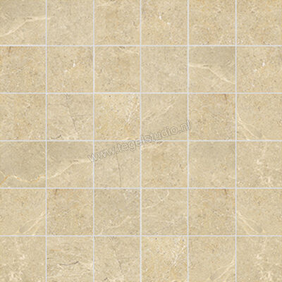  La Fabbrica Ava Noble Stone Beige 30x30 cm Mozaiek 5x5 Mat Vlak Naturale 199103 | 445055