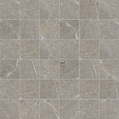  La Fabbrica Ava Noble Stone Taupe 30x30 cm Mozaiek 5x5 Mat Vlak Naturale 199105 | 445061