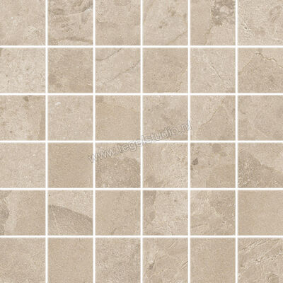 Ceramiche Caesar Bloomstone Shell 30x30 cm Mozaiek 5x5 Mat Vlak Naturale AIQ1 | 445393