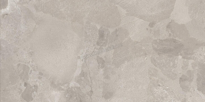  Ceramiche Caesar Bloomstone Silt 30x60 cm Vloertegel / Wandtegel Mat Vlak Naturale AIOO | 445465