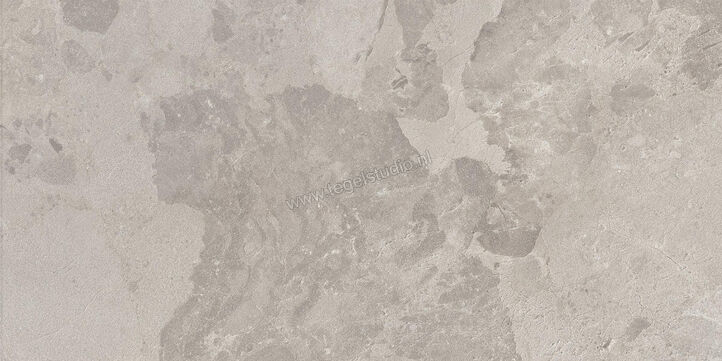  Ceramiche Caesar Bloomstone Silt 30x60 cm Vloertegel / Wandtegel Mat Vlak Naturale AIOO | 445468