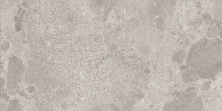  Ceramiche Caesar Bloomstone Silt 30x60 cm Vloertegel / Wandtegel Mat Vlak Naturale AIOO | 445477