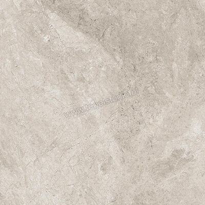  Ceramiche Caesar Haven Shale 60x60 cm Vloertegel / Wandtegel Mat Vlak Naturale AIME | 445519