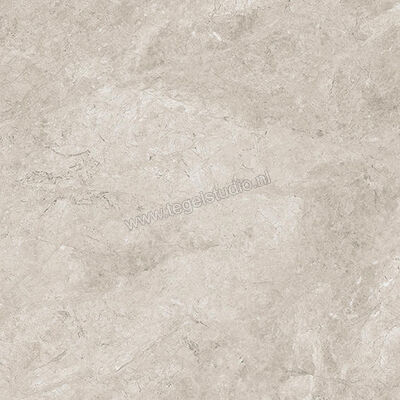  Ceramiche Caesar Haven Shale 60x60 cm Vloertegel / Wandtegel Mat Vlak Naturale AIME | 445543