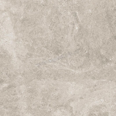  Ceramiche Caesar Haven Shale 60x60 cm Vloertegel / Wandtegel Mat Vlak Naturale AIME | 445564