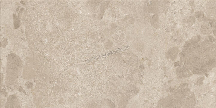  Ceramiche Caesar Bloomstone Shell 30x60 cm Vloertegel / Wandtegel Mat Vlak Naturale AIOR | 445579