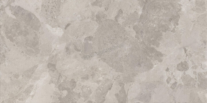  Ceramiche Caesar Bloomstone Silt 60x120 cm Vloertegel / Wandtegel Mat Vlak Naturale AIO4 | 445762