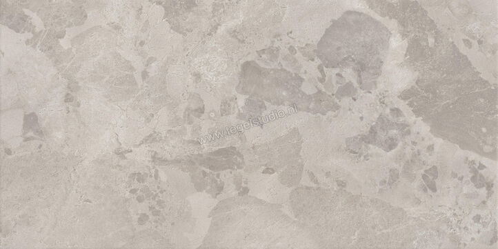  Ceramiche Caesar Bloomstone Silt 60x120 cm Vloertegel / Wandtegel Mat Vlak Naturale AIO4 | 445768