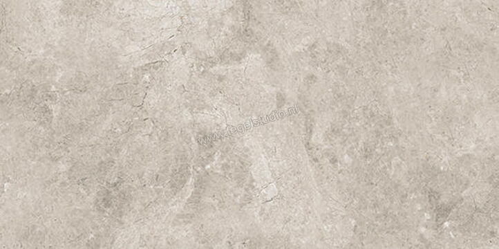  Ceramiche Caesar Haven Shale 30x60 cm Vloertegel / Wandtegel Mat Vlak Naturale AIMP | 445783