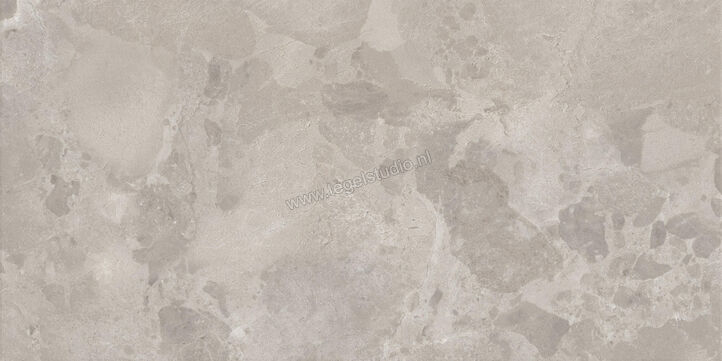  Ceramiche Caesar Bloomstone Silt 60x120 cm Vloertegel / Wandtegel Mat Vlak Naturale AIO4 | 445786