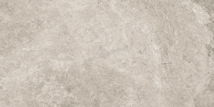  Ceramiche Caesar Haven Shale 30x60 cm Vloertegel / Wandtegel Mat Vlak Naturale AIMP | 445792