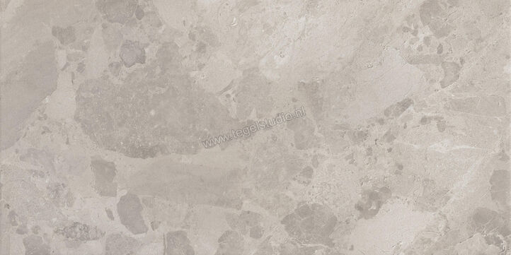  Ceramiche Caesar Bloomstone Silt 60x120 cm Vloertegel / Wandtegel Mat Vlak Naturale AIO4 | 445810