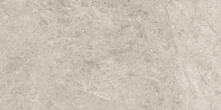  Ceramiche Caesar Haven Shale 30x60 cm Vloertegel / Wandtegel Mat Vlak Naturale AIMP | 445834