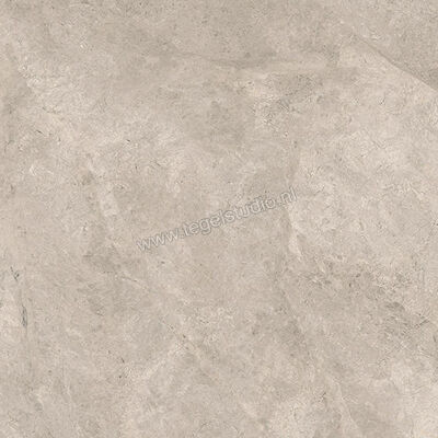  Ceramiche Caesar Haven Oat 60x60 cm Vloertegel / Wandtegel Mat Vlak Naturale AIMH | 445897