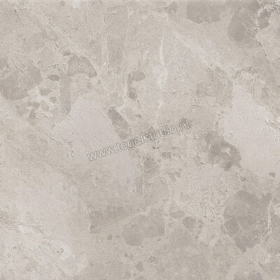  Ceramiche Caesar Bloomstone Silt 60x60 cm Vloertegel / Wandtegel Mat Vlak Naturale AIOK | 445996