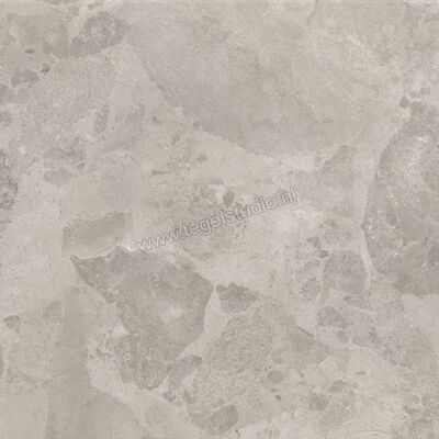  Ceramiche Caesar Bloomstone Silt 60x60 cm Vloertegel / Wandtegel Mat Vlak Naturale AIOK | 446017