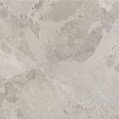  Ceramiche Caesar Bloomstone Silt 60x60 cm Vloertegel / Wandtegel Mat Vlak Naturale AIOK | 446032