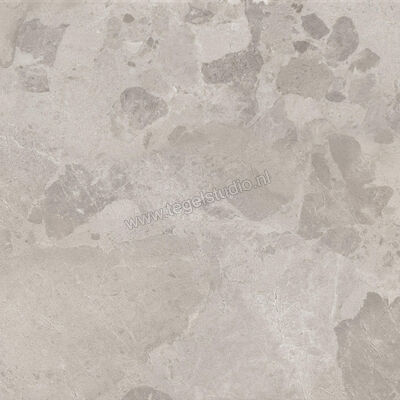 Ceramiche Caesar Bloomstone Silt 60x60 cm Vloertegel / Wandtegel Mat Vlak Naturale AIOK | 446041