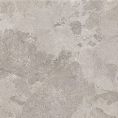  Ceramiche Caesar Bloomstone Silt 60x60 cm Vloertegel / Wandtegel Mat Vlak Naturale AIOK | 446050
