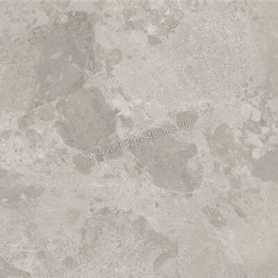  Ceramiche Caesar Bloomstone Silt 60x60 cm Vloertegel / Wandtegel Mat Vlak Naturale AIOK | 446059