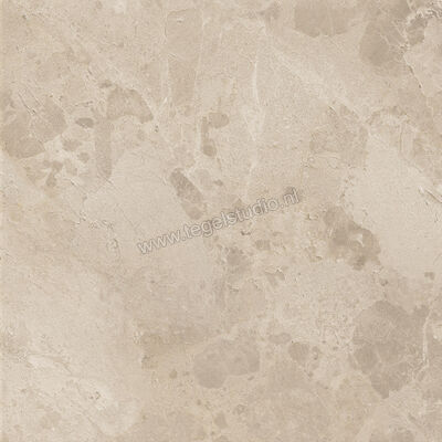  Ceramiche Caesar Bloomstone Shell 60x60 cm Vloertegel / Wandtegel Mat Vlak Naturale AION | 446071