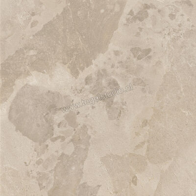  Ceramiche Caesar Bloomstone Shell 60x60 cm Vloertegel / Wandtegel Mat Vlak Naturale AION | 446080