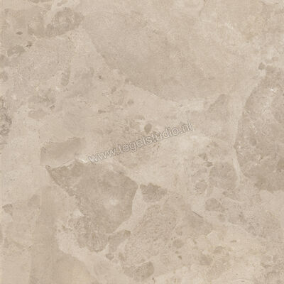  Ceramiche Caesar Bloomstone Shell 60x60 cm Vloertegel / Wandtegel Mat Vlak Naturale AION | 446089