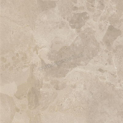  Ceramiche Caesar Bloomstone Shell 60x60 cm Vloertegel / Wandtegel Mat Vlak Naturale AION | 446095