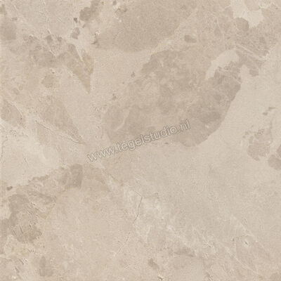  Ceramiche Caesar Bloomstone Shell 60x60 cm Vloertegel / Wandtegel Mat Vlak Naturale AION | 446104