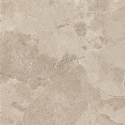  Ceramiche Caesar Bloomstone Shell 60x60 cm Vloertegel / Wandtegel Mat Vlak Naturale AION | 446122