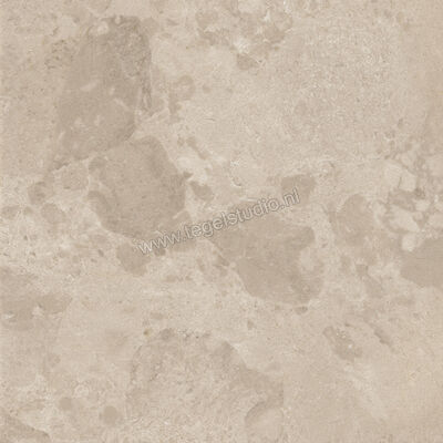  Ceramiche Caesar Bloomstone Shell 60x60 cm Vloertegel / Wandtegel Mat Vlak Naturale AION | 446131