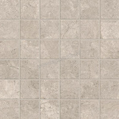  Ceramiche Caesar Haven Oat 30x30 cm Mozaiek 5x5 Mat Vlak Naturale AIOI | 446284