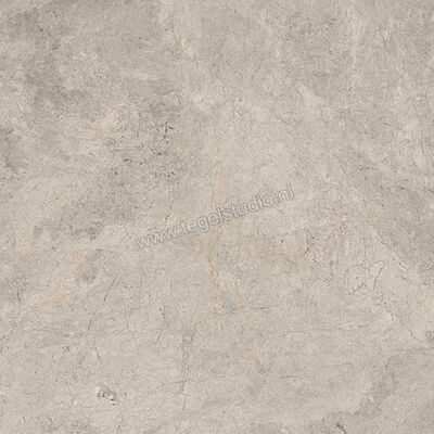  Ceramiche Caesar Haven Earth 60x60 cm Vloertegel / Wandtegel Mat Vlak Naturale AIMI | 446656