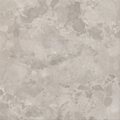  Ceramiche Caesar Bloomstone Silt 120x120 cm Vloertegel / Wandtegel Mat Vlak Naturale AIOS | 446758