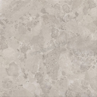  Ceramiche Caesar Bloomstone Silt 120x120 cm Vloertegel / Wandtegel Mat Vlak Naturale AIOS | 446764