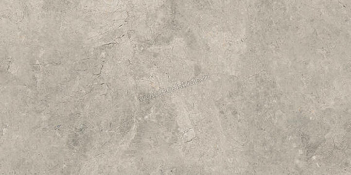  Ceramiche Caesar Haven Earth 30x60 cm Vloertegel / Wandtegel Mat Vlak Naturale AIMS | 446833