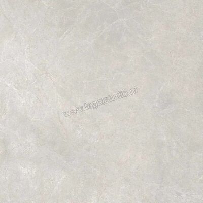 Ragno Realstone_Classica Grigio Vloertegel 60x60cm RDDD R10 B