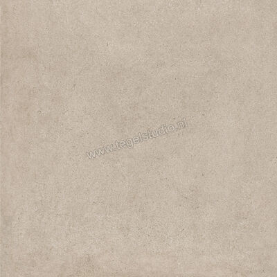  Ragno Solida Corda 60x60 cm Vloertegel / Wandtegel Mat Vlak Naturale RDEG | 448424
