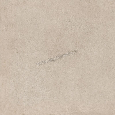  Ragno Solida Corda 60x60 cm Vloertegel / Wandtegel Mat Vlak Naturale RDEG | 448454