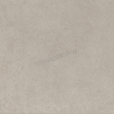  Ragno Solida Grigio 60x60 cm Vloertegel / Wandtegel Mat Vlak Naturale RDEJ | 448466