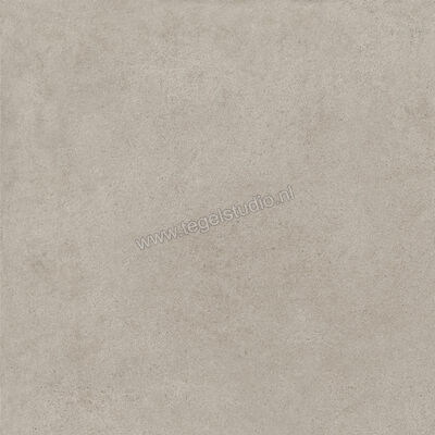  Ragno Solida Grigio 60x60 cm Vloertegel / Wandtegel Mat Vlak Naturale RDEJ | 448499